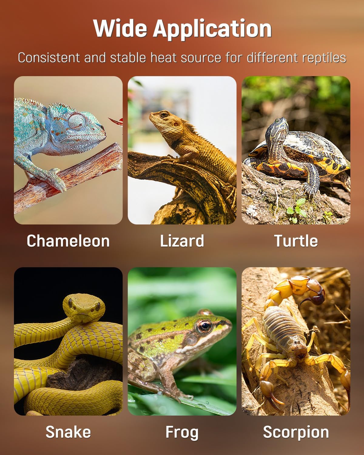 Pawfly Reptile Heat Pad with Thermostat & Timer - Reptile Heating Pads 25 W, 17.7 x 8 Inch Hermit Crabs Heating Pad, Heat Mat for Reptiles Turtles Frogs Snakes Lizards Geckos Plants Seedlings