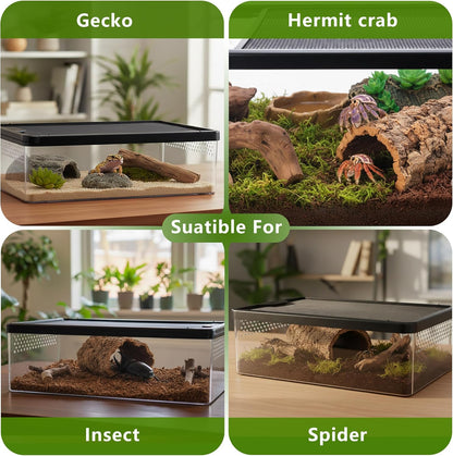 PC Small Reptile Terrarium, Tarantulas Enclosure, 12.6"x8.7"x3.9" for Geckos, Insect, Hermit Crab, Praying Mantis, Mini Terrarium Box