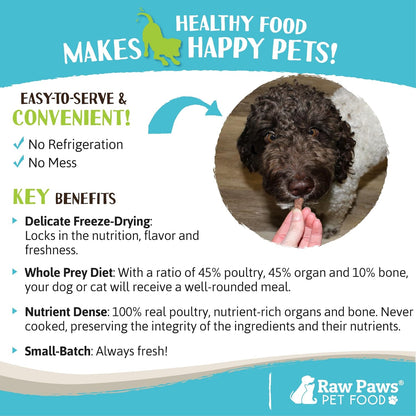 Raw Paws Freeze Dried Dog Food & Cat Food - Chicken Recipe, 16-oz - Made in USA - Freeze Dried Chicken, Raw Food for Dogs and Cats - Grain, Soy, Corn- Free