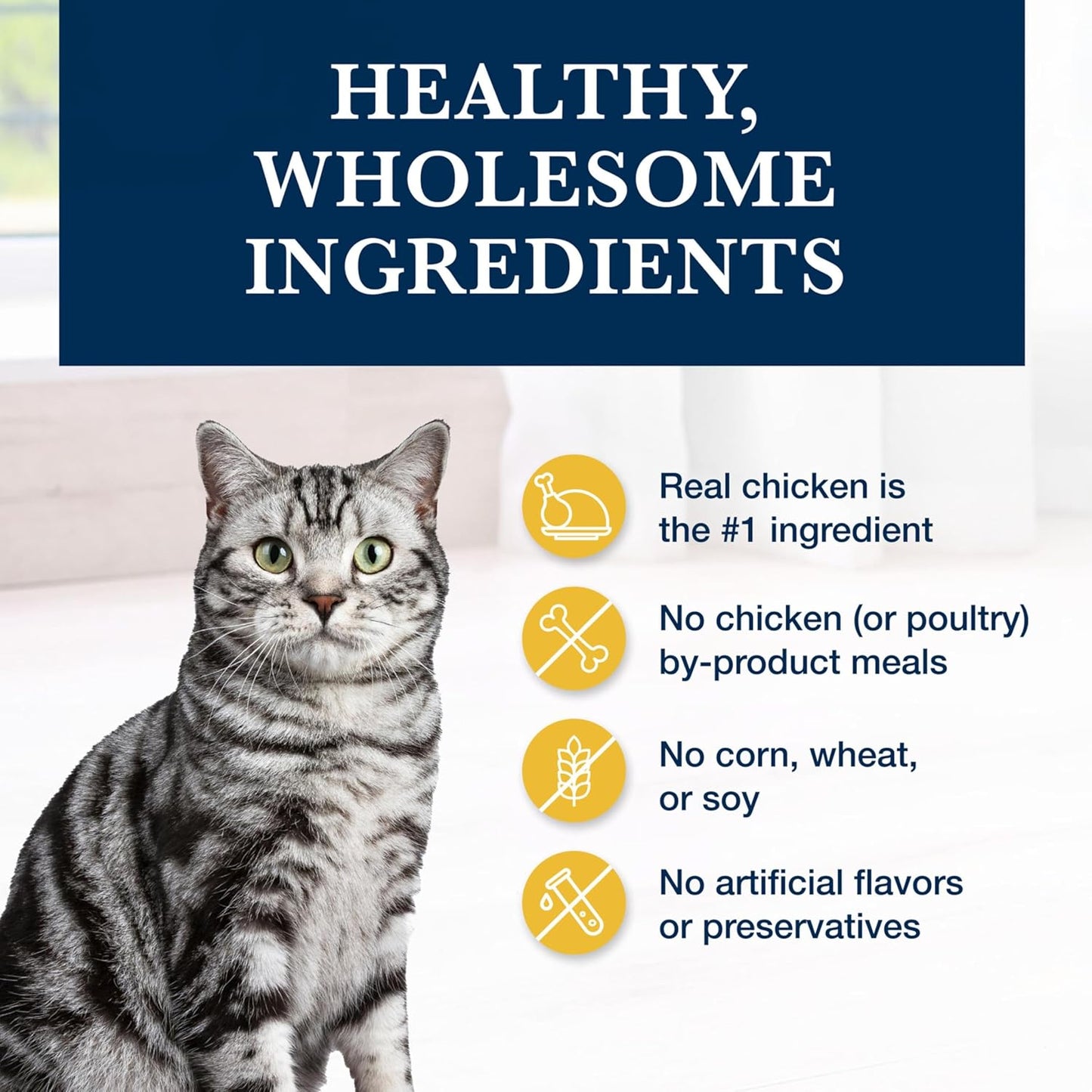 Blue Buffalo Natural Veterinary Diet K+M Kidney + Mobility Support Dry Cat Food, Chicken 7-Lb Bag