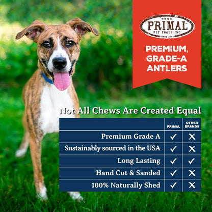 Primal Antler & Freeze Dried Dog Food Nuggets Bundle, Chicken 14oz & Grade A Split Elk Antler for Large Dogs 30-45 lb