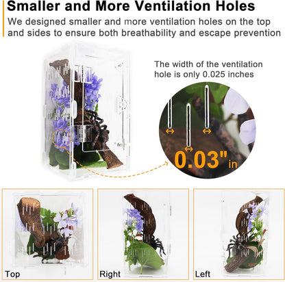 Jumping Spider Enclosure, Spider Terrarium, Acrylic Enclosure Kit, Small Terrarium, Insect Habitat for Spiders, Praying Mantis, Arboreal Tarantula, Bug, Frog, Snail, Lizard and Small Reptiles