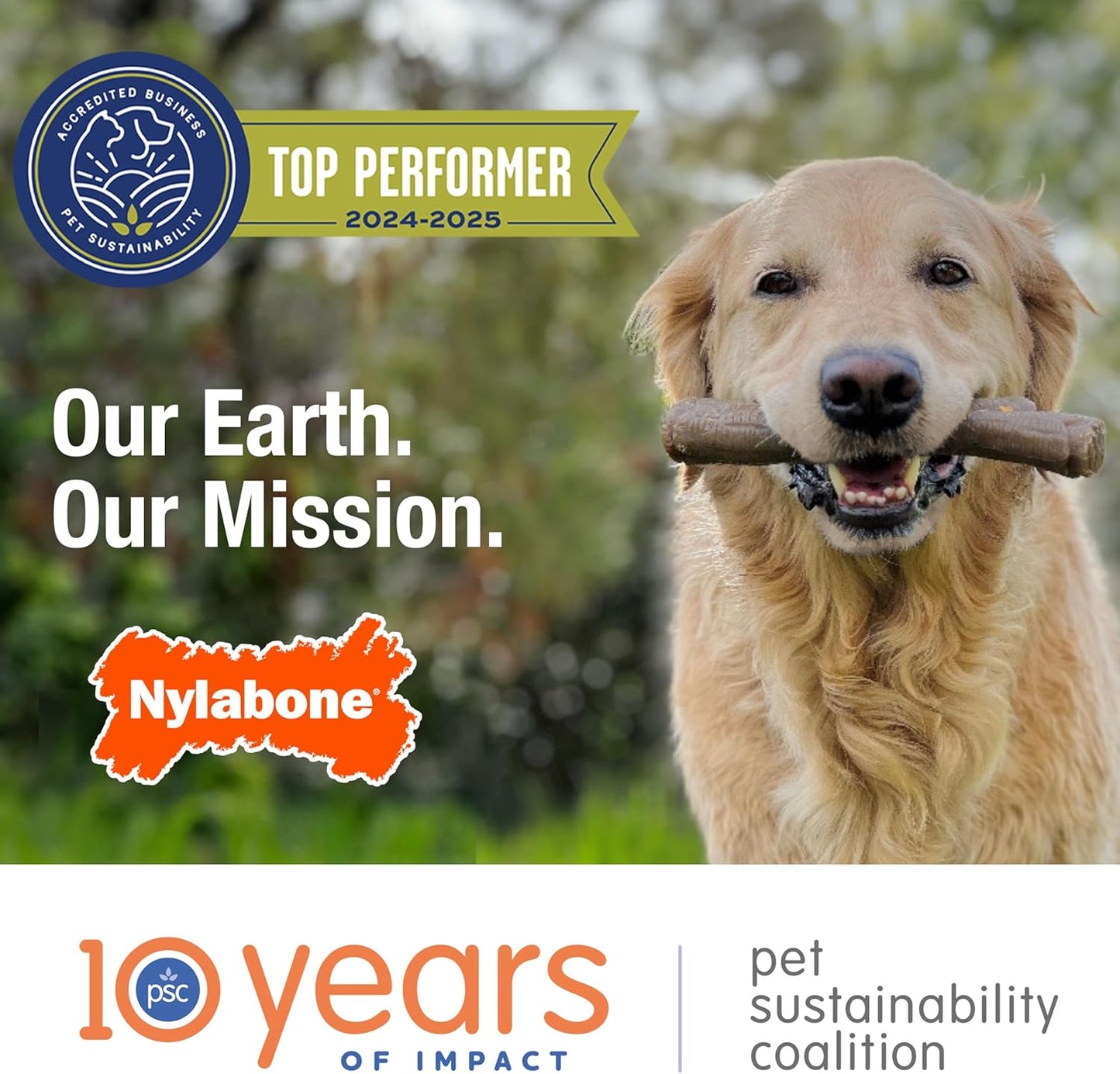 Nylabone Textured Ring Strong Chew Toy for Dogs Made with Real Beef & Chicken, Durable Dog Chew Bones for Aggressive Chewers, Keeps Dogs Busy, X-Large Dog Toys - 50+ lbs, 1 Count