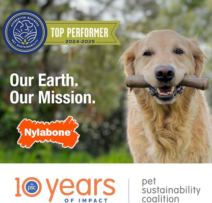 Nylabone Textured Ring Strong Chew Toy for Dogs Made with Real Beef & Chicken, Durable Dog Chew Bones for Aggressive Chewers, Keeps Dogs Busy, X-Large Dog Toys - 50+ lbs, 1 Count