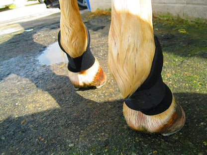 Bedsore Boots for Horses -Equine Leg Protection for Pressure Sores & Ulcers- Neoprene Stall Boots, Heal Wounds Faster, Easy On/Off, Washable & Air-Dry