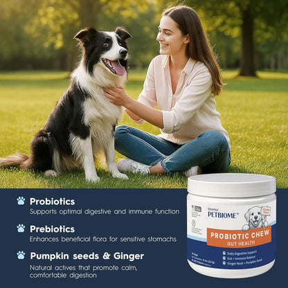 Oraticx PetBiome Probiotic Chew for Dogs - Supports Daily Digestive Health, Gut Balance, and Immune System - with Ginger Root, and Pumpkin Seed - Chicken Flavor, 90 Soft Chews