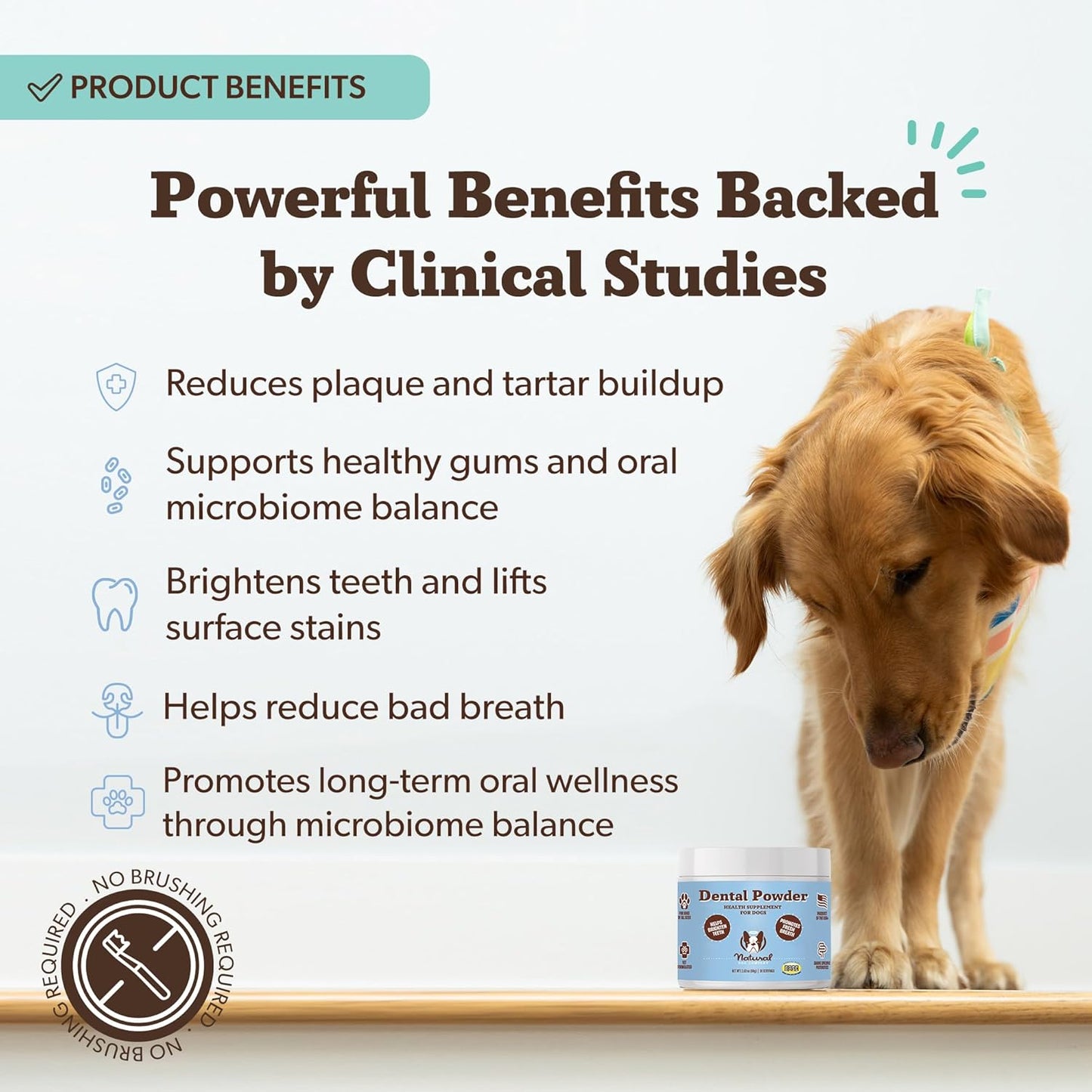 Natural Dog Company Dental Powder for Dogs – Freshens Breath & Helps Reduce Plaque & Tartar, Natural No-Brushing Canine Oral Health Postbiotic Supplement, Vet Formulated, Made in USA, 30-Day Supply