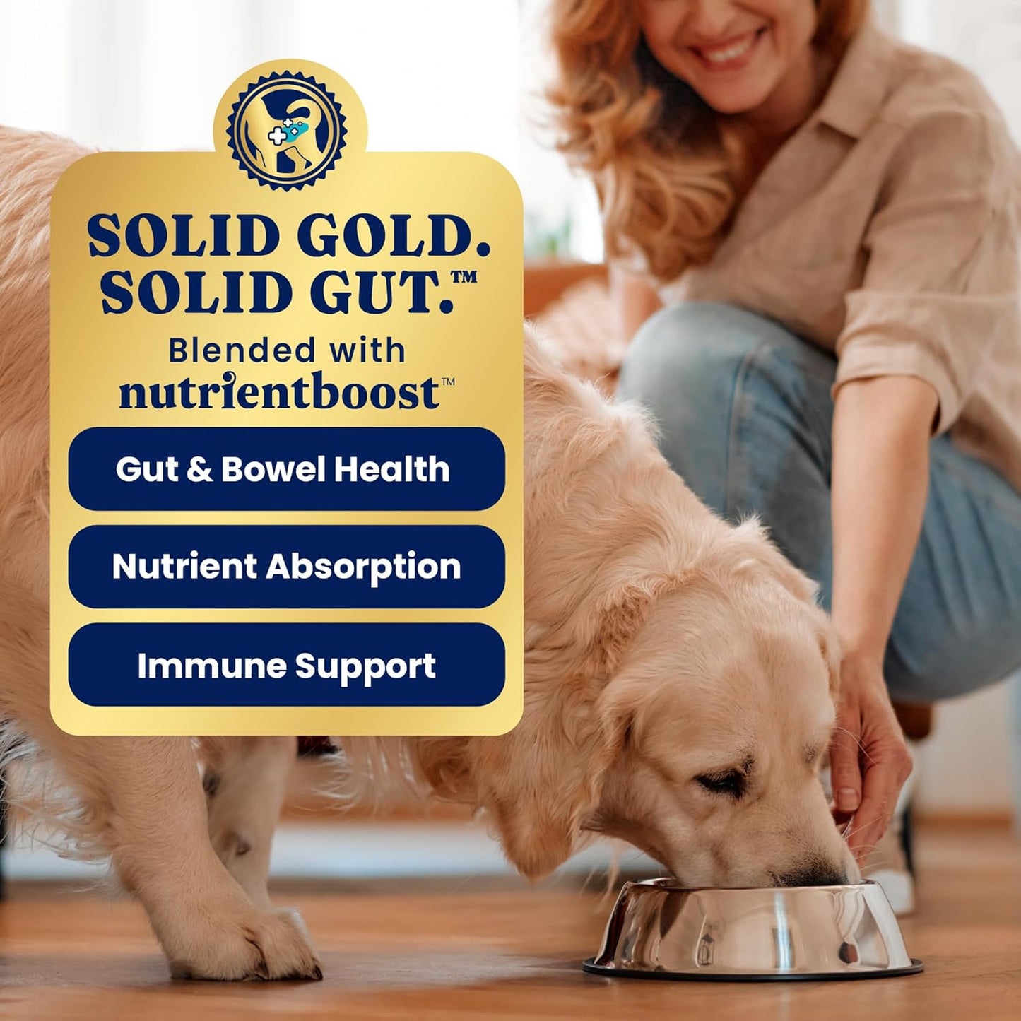 Solid Gold Wet Dog Food Variety Pack for Picky Eaters - Fit & Fabulous Chicken + Leaping Waters Chicken & Salmon Grain Free Canned Dog Food - Made with Real Protein for Sensitive Stomachs - 6 Pack