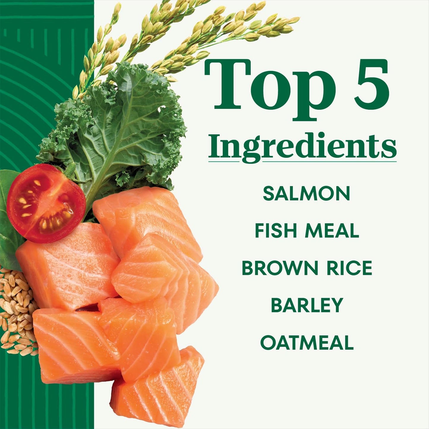 Nutro Natural Choice Adult Large Breed Dog Food Dry, Salmon & Brown Rice Recipe, 28 lb. Bag