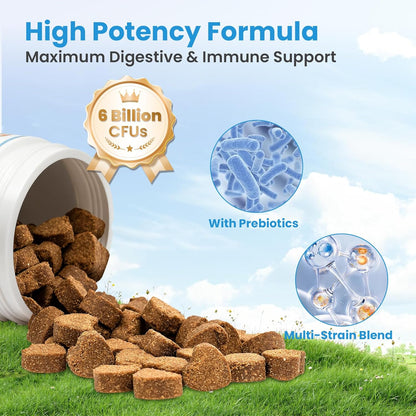 Probiotics for Dogs, Digestive Support Supplements Gut Health, Flora, Pet Dog Probiotic Supplement Soft Chews with Prebiotics for Upset Stomach, Puppy Probiotics Immune System