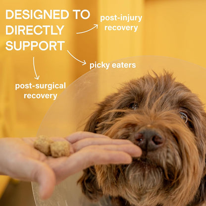 KVP Mendy Chews Multivitamin Treats for Dogs - Joint Support + Muscle Recovery - Recovery and Wellness Chew - Chicken Flavor - 60 Count