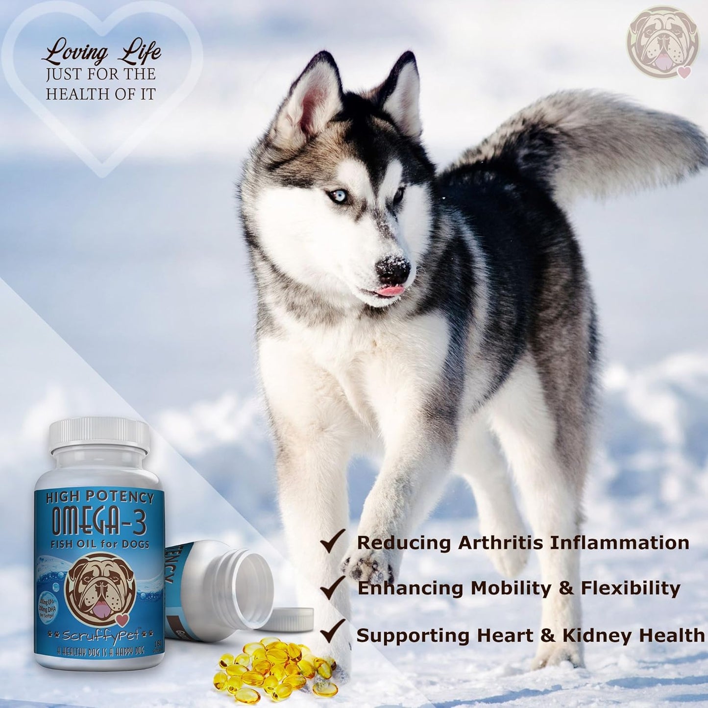 Pure Omega 3 Wild Fish Oil for Dogs with Vitamin E - Highest EPA & DHA Softgels Available (1000mg) 180ct