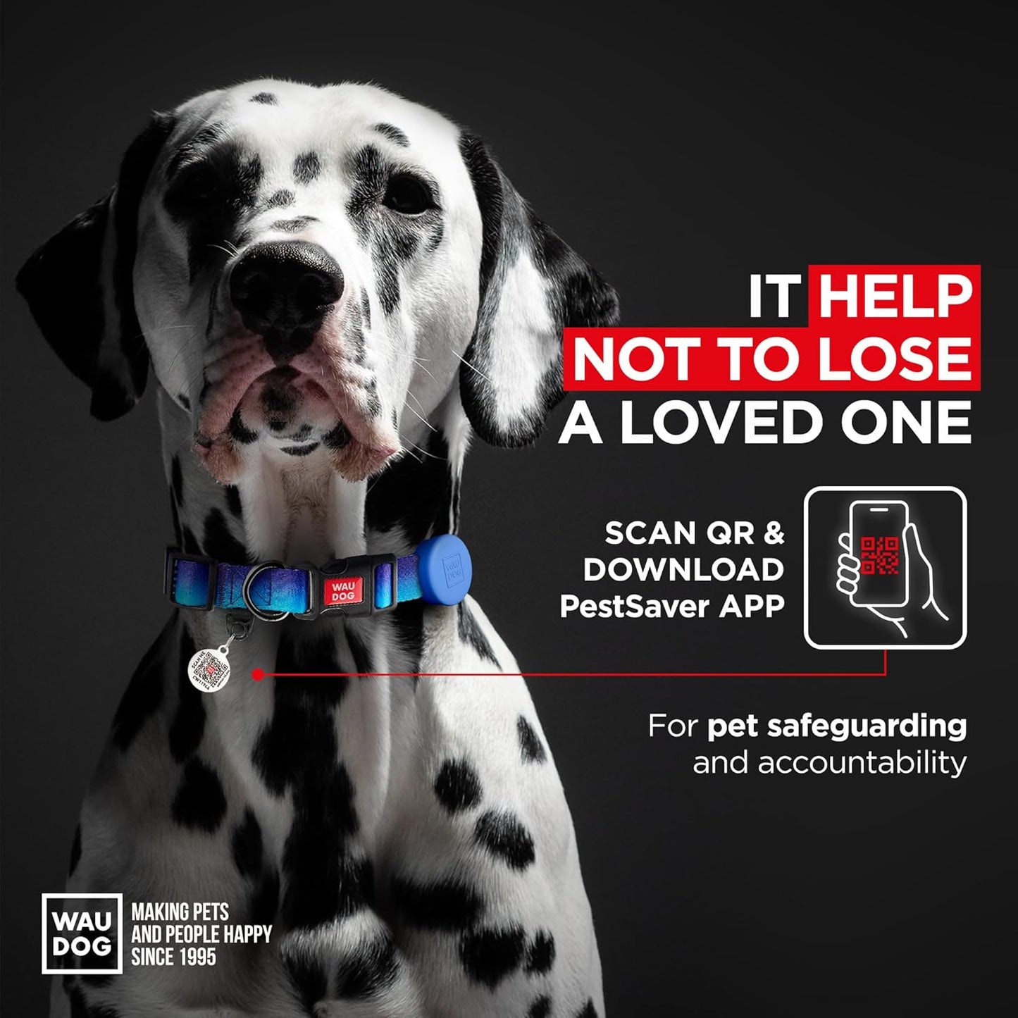 Nylon Dog Collar with Air Holder - Adjustable for Large Dogs, Small & Medium Dogs - Puppy Collars for Large Breed Dogs - Boy & Girl Collars