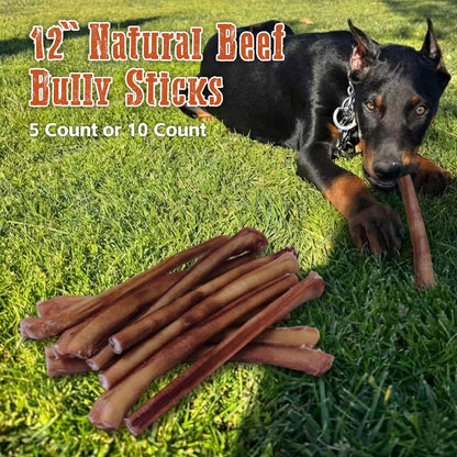 Jumbo Bully Sticks 12" for Large Dogs, 5 Count Natural Beef Dog Chews Long Lasting, Dog Treats Bones for Aggressive Chewers - Single Ingredient