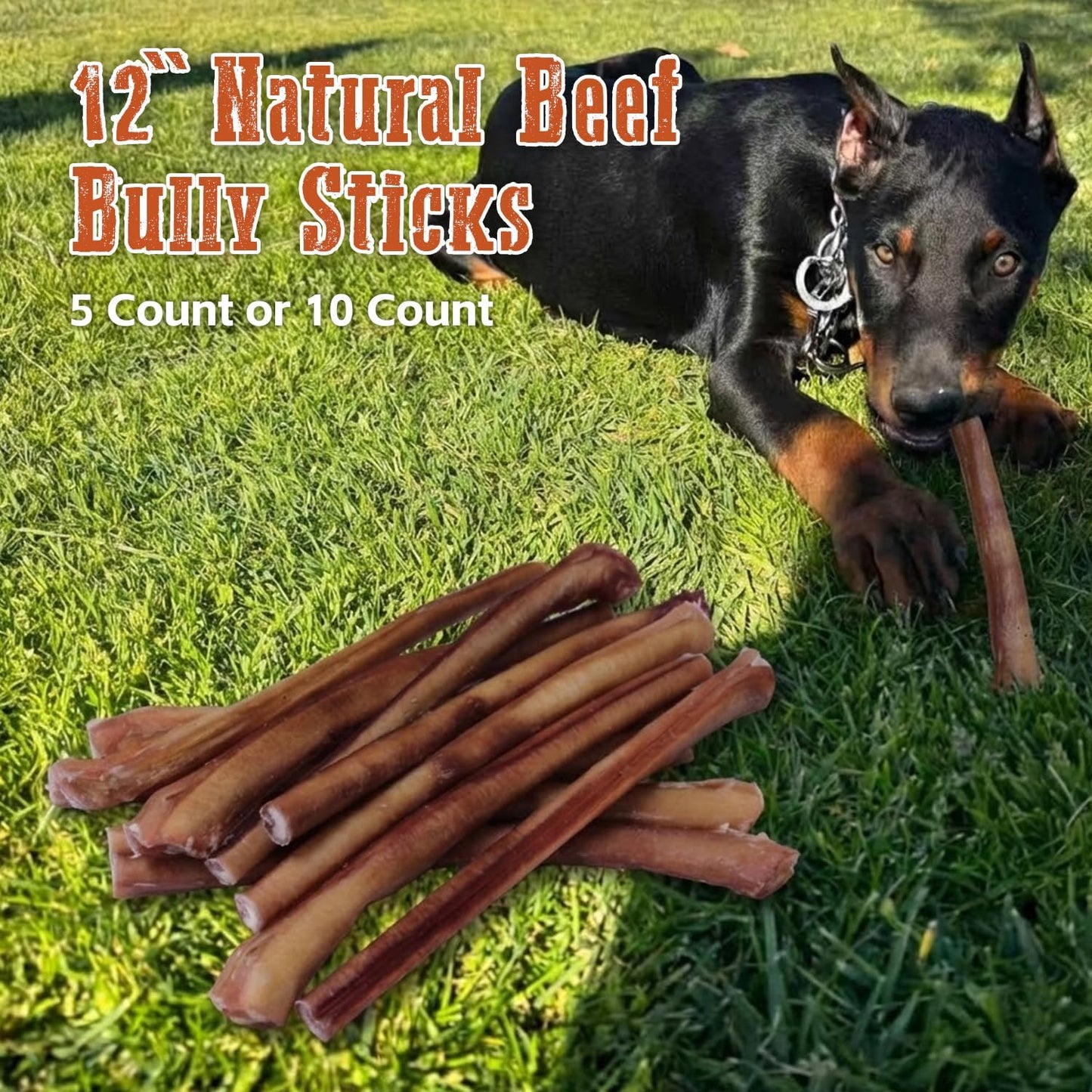 Jumbo Bully Sticks 12" for Large Dogs, 5 Count Natural Beef Dog Chews Long Lasting, Dog Treats Bones for Aggressive Chewers - Single Ingredient