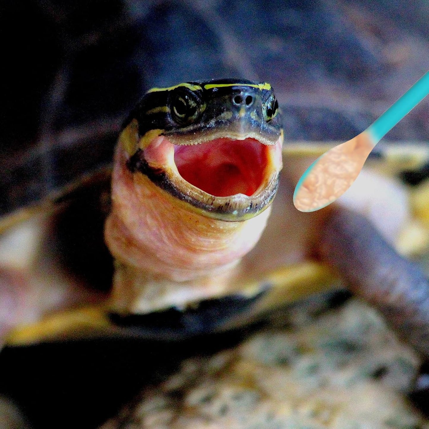 2Pcs Reptile Spoon, Crested Gecko Food Mixing Spoon Long Handle Feeding Tool Crested Gecko Accessories fit Lizard Gargoyle Bearded Dragon