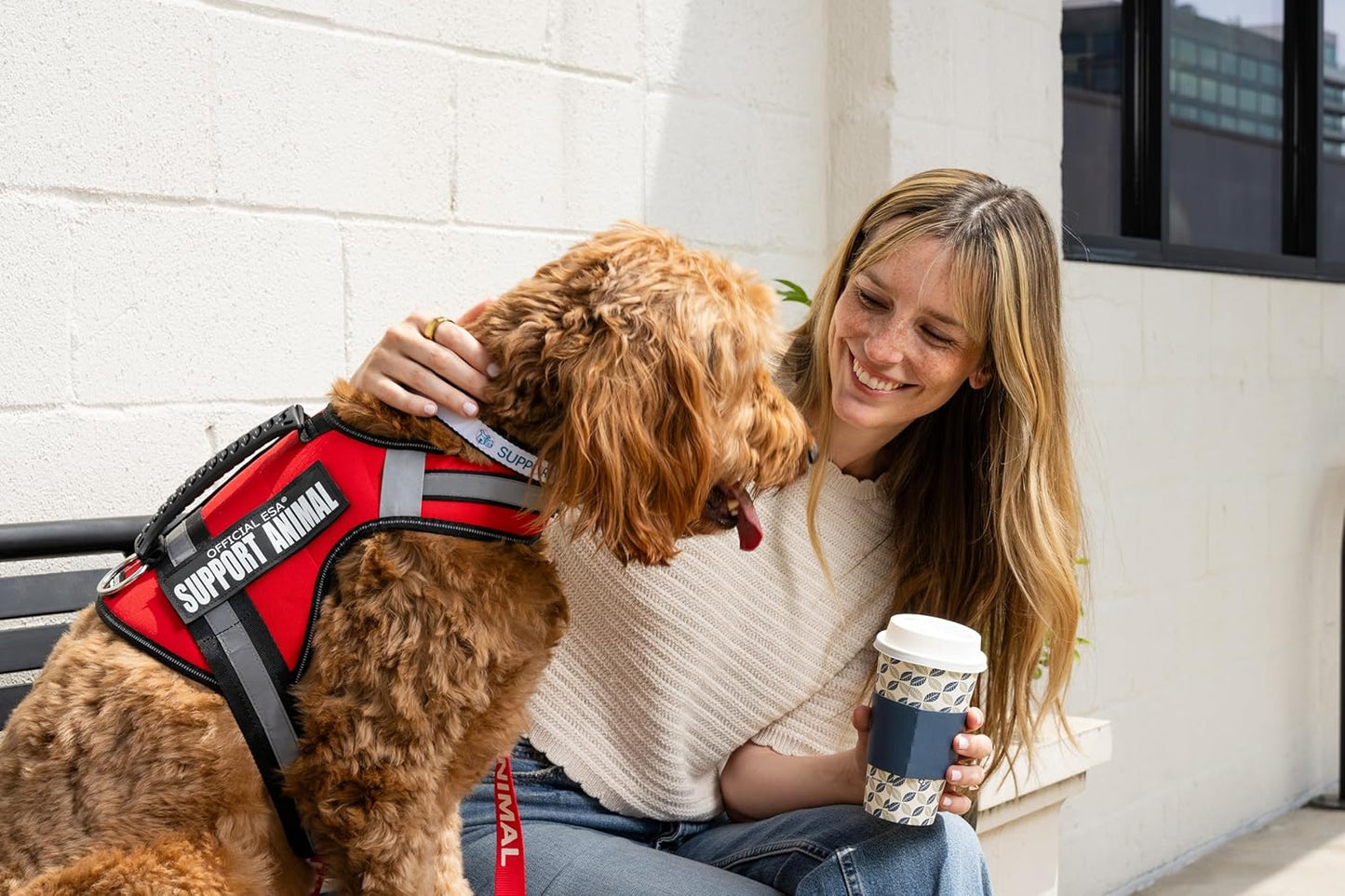 Support Pets The Only Official ESA™ Dog Harness – Adjustable No-Pull Dog Vest for Easy Pet Recognition with Reflective Straps – Soft, Padded & Comfortable for Training and Daily Use - XSmall