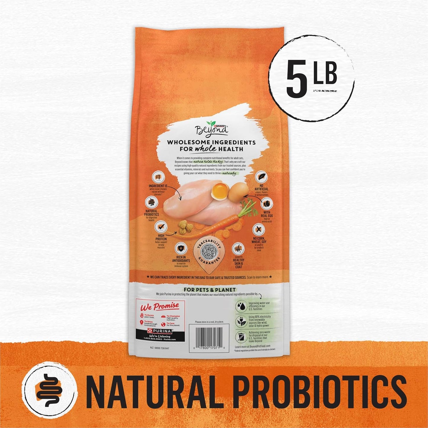 Purina Beyond Grain Free White Meat Chicken and Egg Recipe Natural Cat Food High Protein Cat Food Dry Formula - 5 lb. Bag