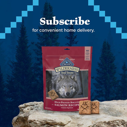 Blue Buffalo Wilderness Trail Treats Crunchy Dog Biscuits, Grain-Free and High-Protein Dog Treats Made with Natural Ingredients, Salmon Recipe 24-oz Bag