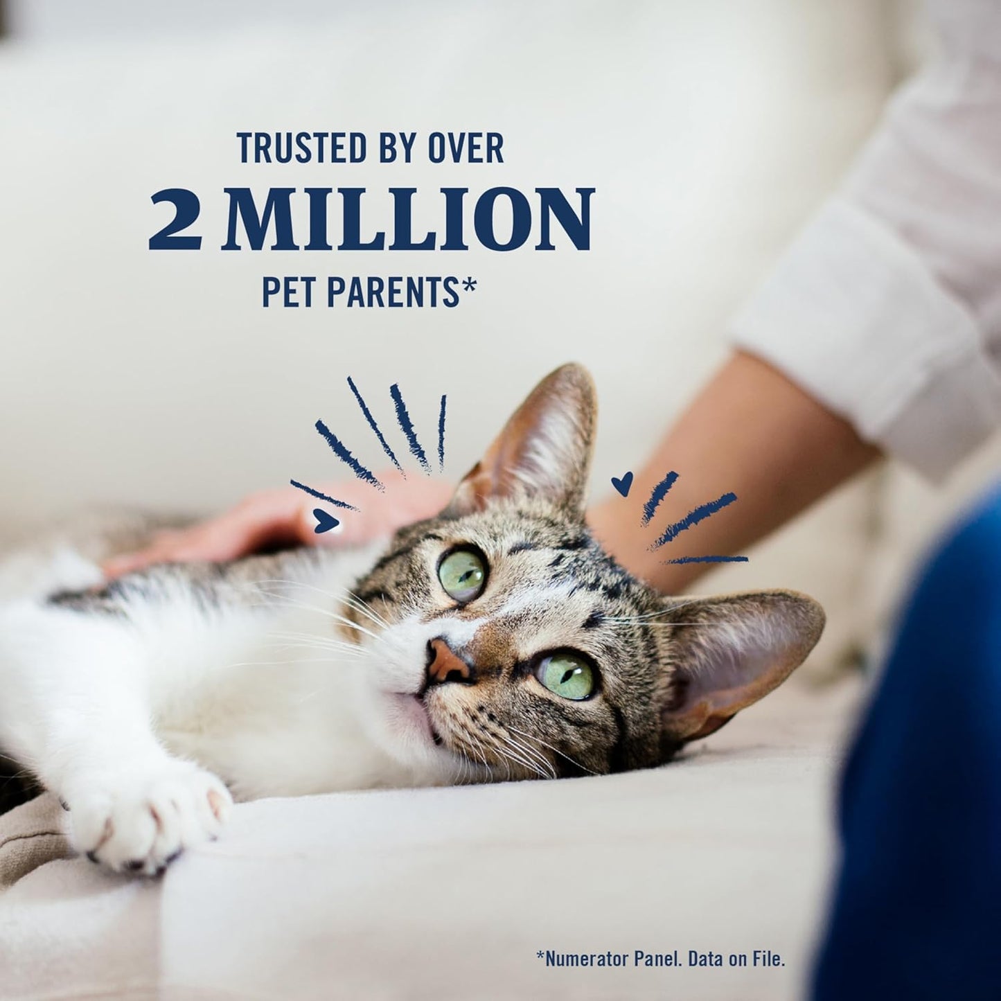 PetArmor Plus Flea and Tick Prevention for Cats, Cat Flea and Tick Treatment, 12 Doses, Waterproof Topical, Fast Acting, Cats Over 1.5 lbs