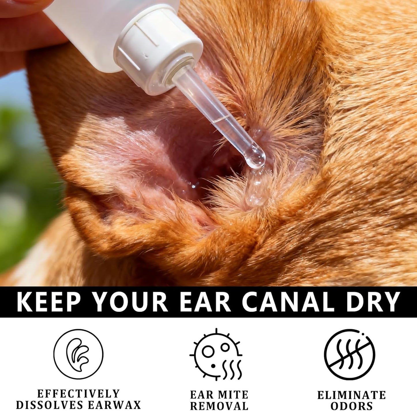 Dog Ear Infection Treatment, Dog Ear Cleaner, Ear Infection Treatment for Dogs & Cat, Gentle Cleaning Solution for Smelly Ears, Excess Wax & Mite Care - Itchy Ear Relief (2 fl oz)