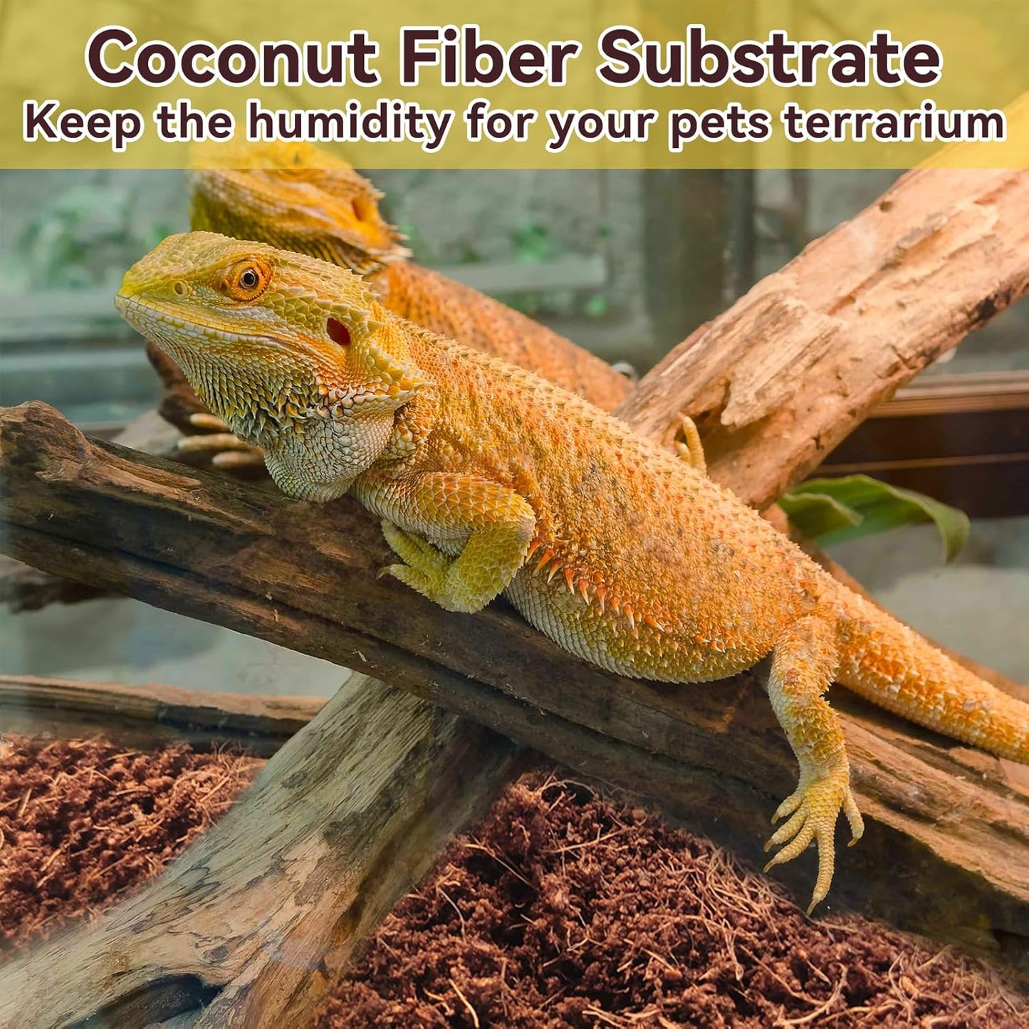 Legigo 2 Pack Compressed Coconut Fiber Substrate - 100% Organic Coconut Fiber Brick Bedding for Reptiles, Natural Coco Husk Substrate Terrarium Bedding for Snake, Hermit Crabs, Frogs, Tortoise, Gecko