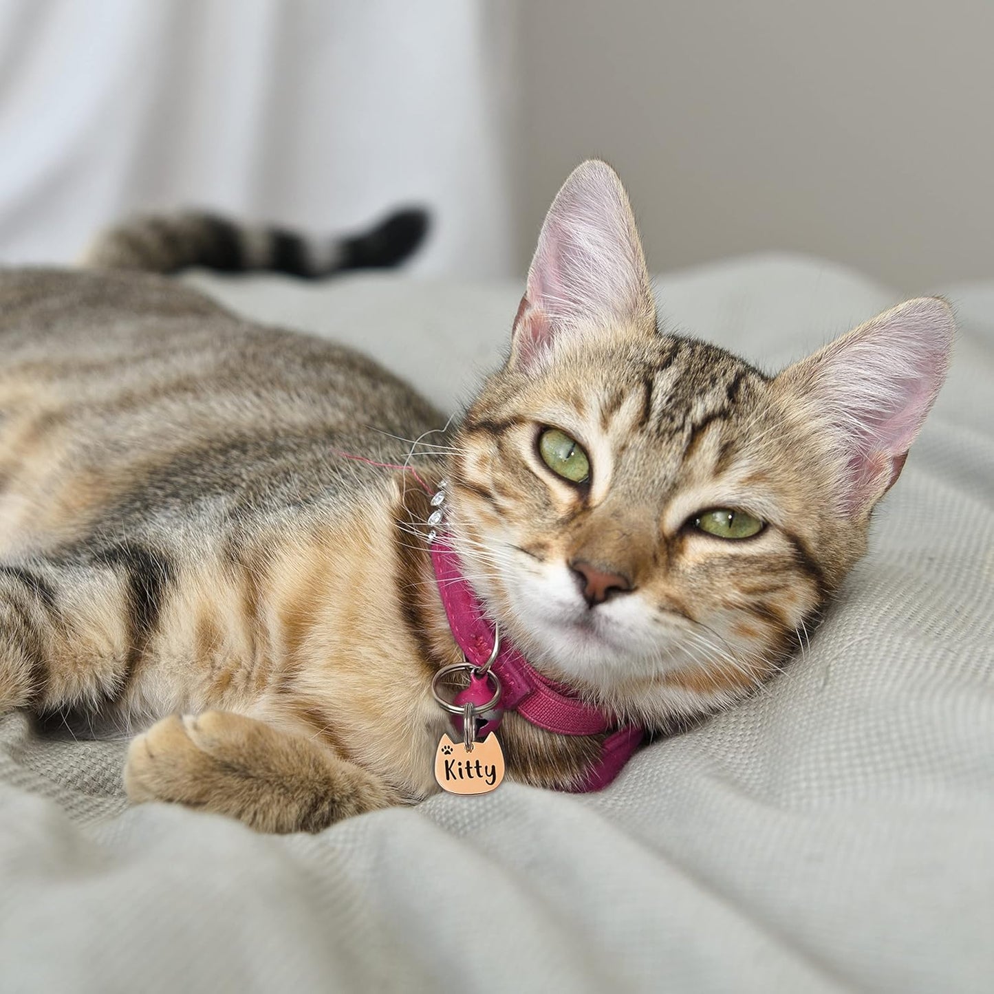 Anavia Cat Head & Fish Shape Pet ID Tags, Personalized Funny Icon Design Cat Name Tag, Customized Gold Plated Glossy Stainless Steel Black Rainbow Cat Dog Collar Tag (Small, Cat Head Shape, Silver)