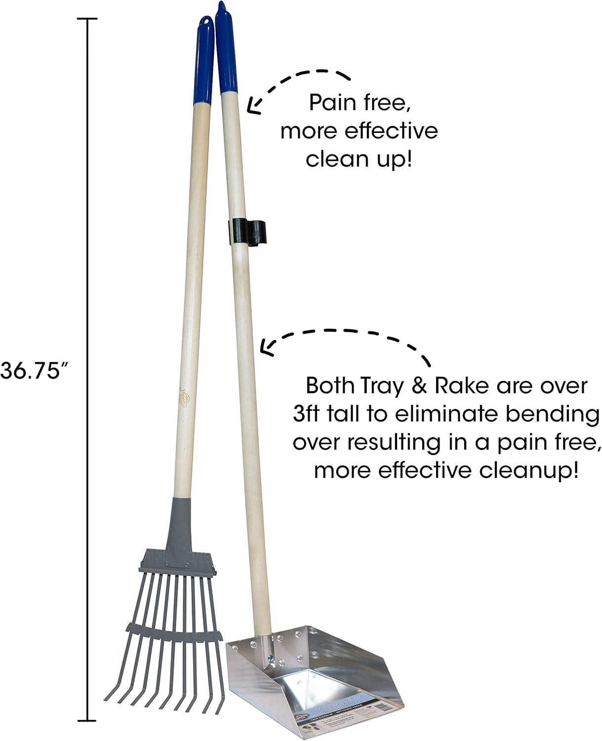 Spotty Wood Handle Pooper Scooper Durable Solid Metal Poop Tray with Rake 36.75" Long Handled Scoop | Great for Large or Small Dogs | No Assembly Required | Better for The Environment Than Plastic