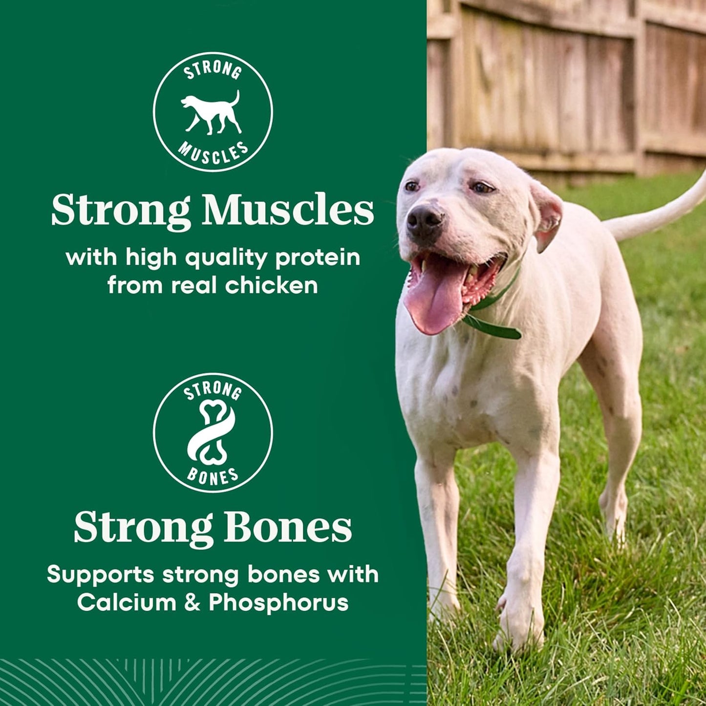 Nutro Natural Choice Adult Large Breed Dog Food Dry, Chicken & Brown Rice Recipe, 36 lb. Bag