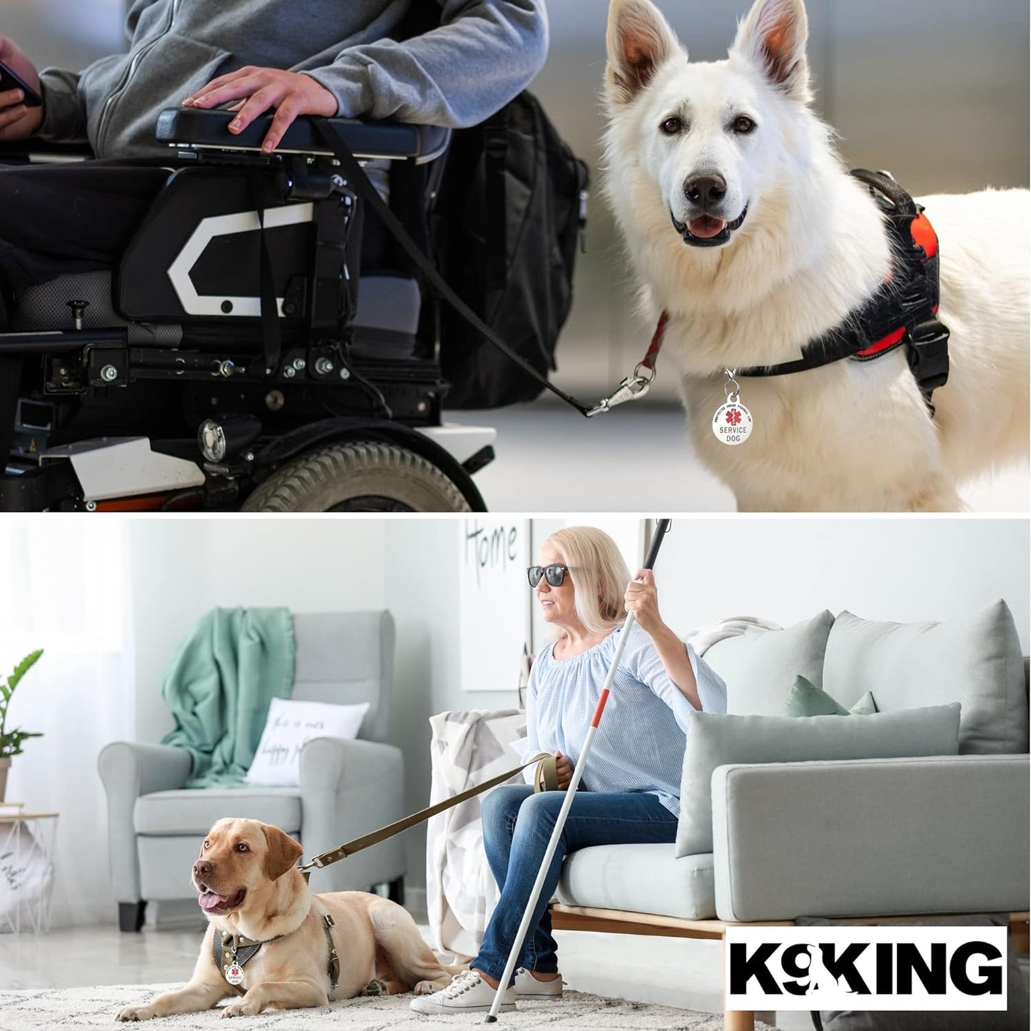 Service Dog Tag Double Sided with Federal Protection & Red Medical Alert Symbol | 1.25 Inch Durable Pet ID Tags | Easily Attach to Collar, Harness, Vest | Service Dog Identification Tag