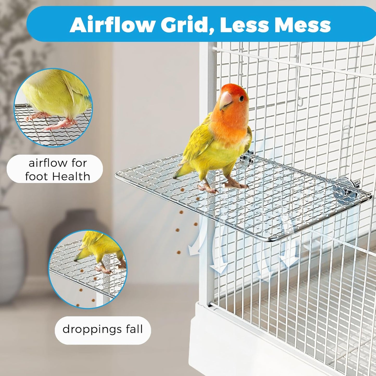 Stainless Steel Bird Perches & Feeder Set (2PCS) - Open-Grid Easy-Clean Perches with No-Spill Veggie Holders for Cockatiel, Conure, Budgie, Quaker