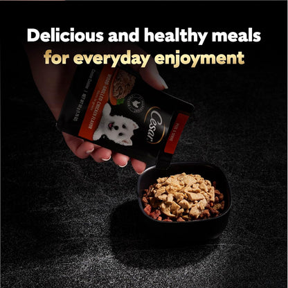 Cesar Filets in Gravy Wet Dog Food, Wood-Grilled Chicken Flavor, 1.76 oz. Mini-Pouches, 20 Count (Pack of 1)