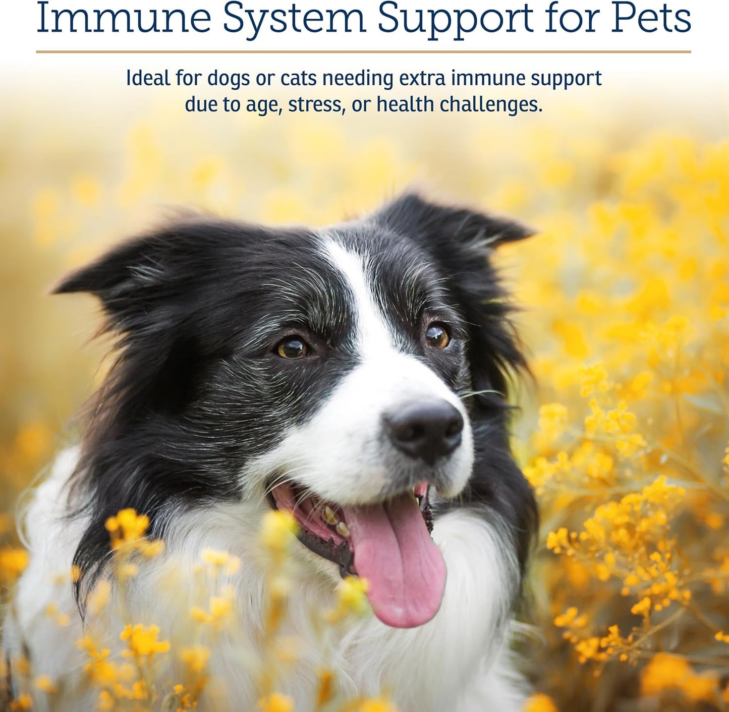 Rx Vitamins GlucaMune - Immune Support Supplement with Beta Glucan for Dogs and Cats - Strengthens Natural Defenses for Overall Health - 90ct