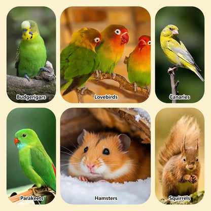 Fhiny 4 PCS Parakeet Treats Natural Cockatiel Food Grain & Millet Flavored Parrot Snack Sticks Bird Treats for Budgerigars Lovebirds Canaries Conurus Finches