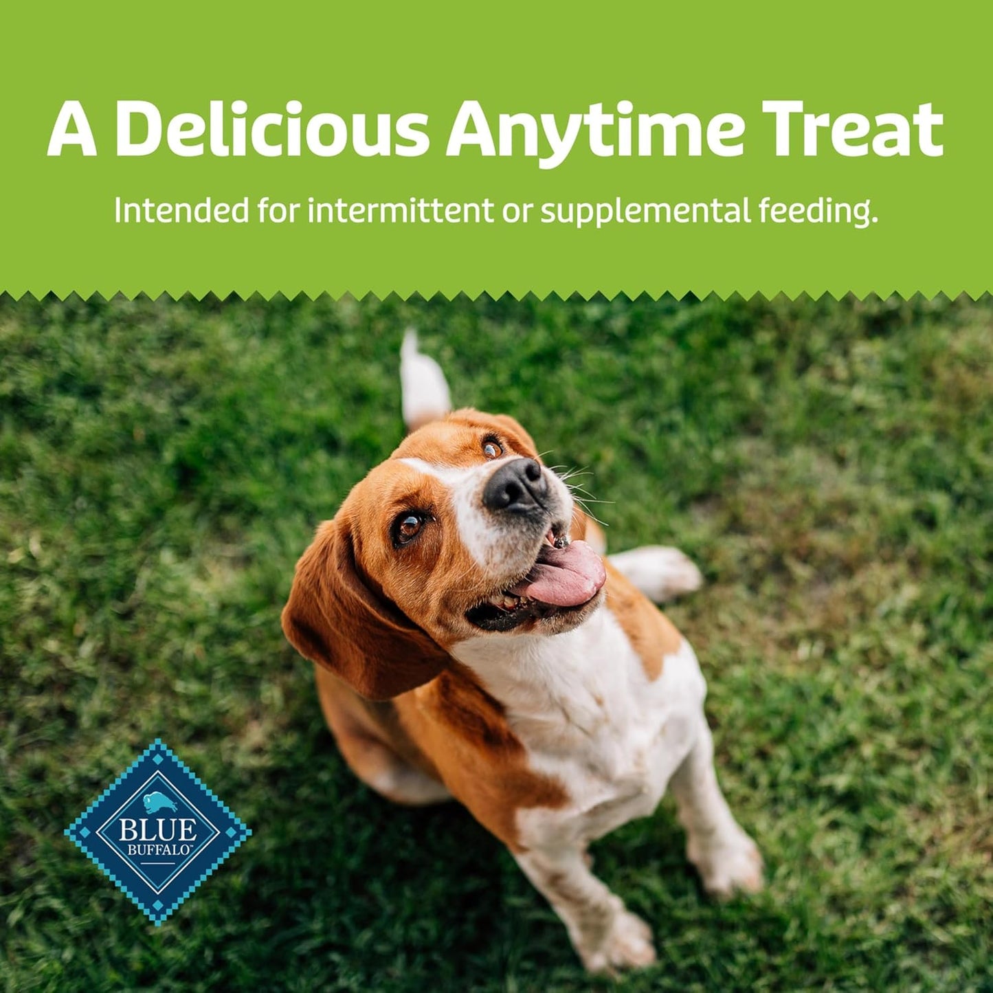 Blue Buffalo Health Bars Mini Crunchy Dog Biscuits, Oven-Baked with Natural Ingredients, Apples & Yogurt, 16-oz Bag