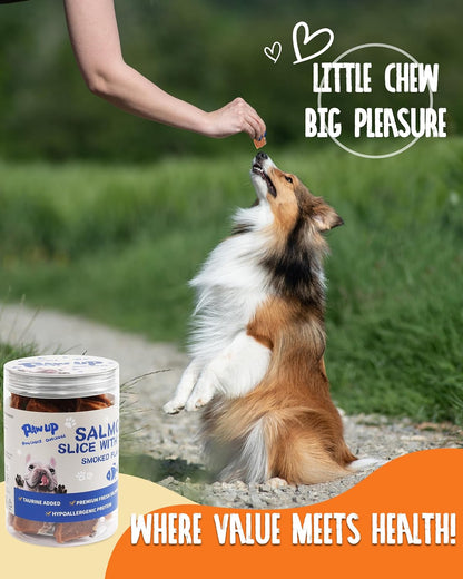 PAWUP Dog Treats, Smoked Salmon Fillet Jerky for Dogs, High-Protein Low-Fat Snacks with Omega 3–6 & Taurine for Skin and Heart Health, 12.5 oz (15-20 Count)