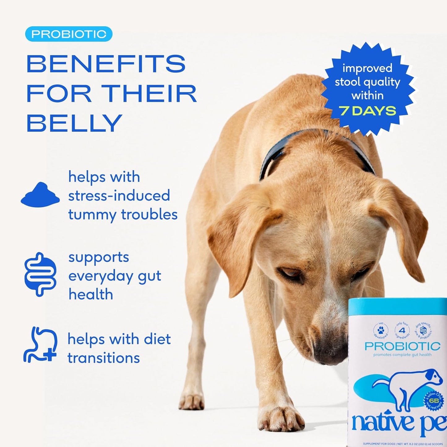 Native Pet Probiotics for Dogs - Dog Probiotics Powder for Digestive Health, Gut Support, & Immune Boost – Vet-Formulated Powder for Maximum Potency with Digestive Enzymes & Prebiotics - 30 Scoops
