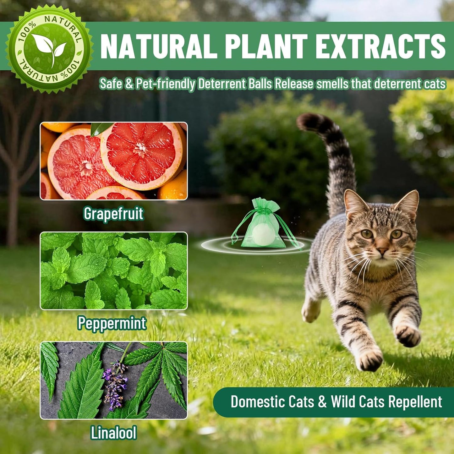 Cat Repellent Bundle, Cat Deterrent Spray + Natural Essential Oil Balls, Indoor & Outdoor Cat Scratch Prevention for Furniture, Garden, Plants, Keep Cats Out of Yard, Safe & Natural Double Protection
