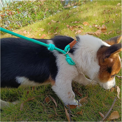 6ft Small Dog Training Leash, 1/4 inch (Black +Turquoise)