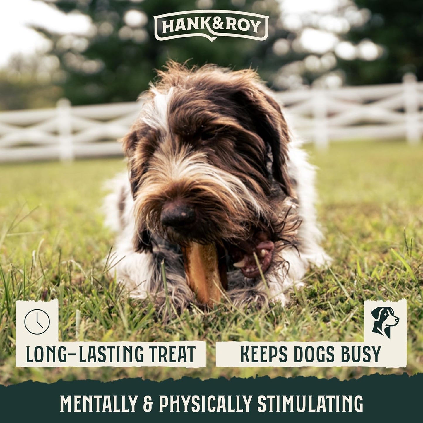 Hank & Roy All-Natural, Single-Ingredient Beef Marrow Bones for Dogs, Long Lasting, Engaging, High Collagen Bone Marrow Dog Bones, Individually Wrapped for Odor Control and Freshness