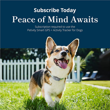 Petivity Smart GPS and Activity Pet Tracker for Dogs Powered by Purina, Waterproof Real Time Tracking GPS Dog Collar, Downloadable App, Subscription Required
