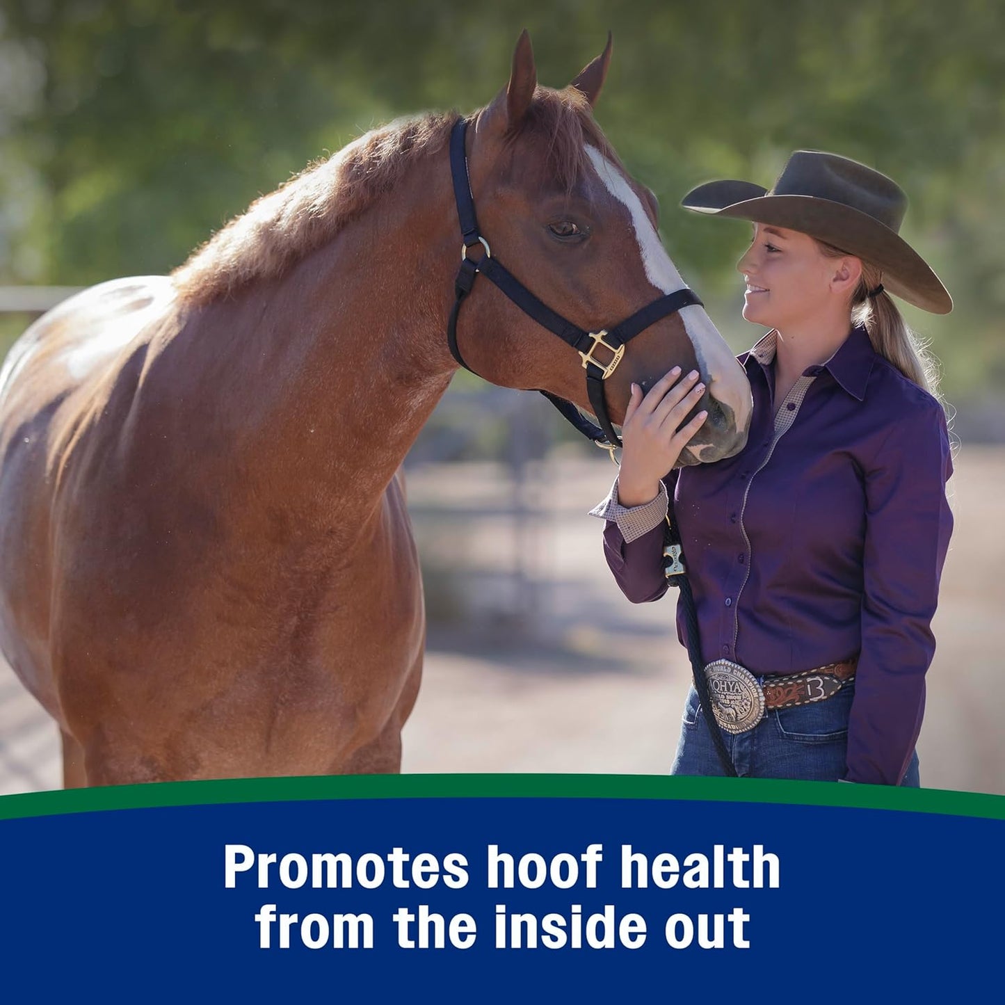 Farnam Horseshoer's Secret Pelleted Hoof Supplements, Promotes healthy hoof growth, maintains hoof walls & supports cracked hooves, 38 lbs., 100 day supply