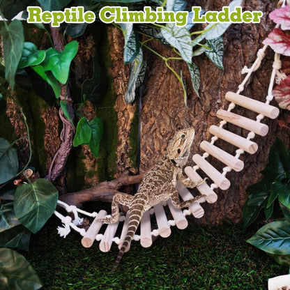 VCEPJH Reptile Bark Bedding,1 LB Natural Cork Bark for Geckos and 2 Pcs Reptile Bridge Leopard Gecko Climbing Ladder Wooden Basking Lounger for Crested Gecko Bearded Dragon Hermit Crab Turtle Chameleo
