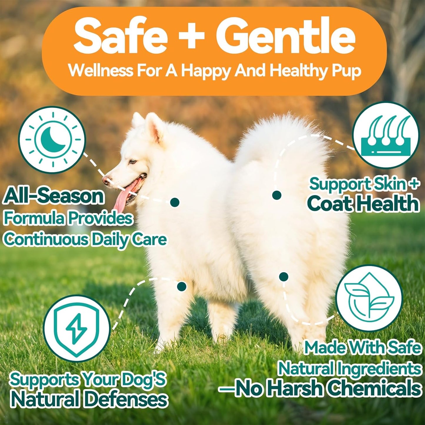 Flea and Tick Prevention for Dog, Natural Oral Flea & Tick Support Drops with Omega-3 for Puppy Pets - Supports Healthy Skin & Coat - Oral Supplement for All Breeds and Ages - Chicken