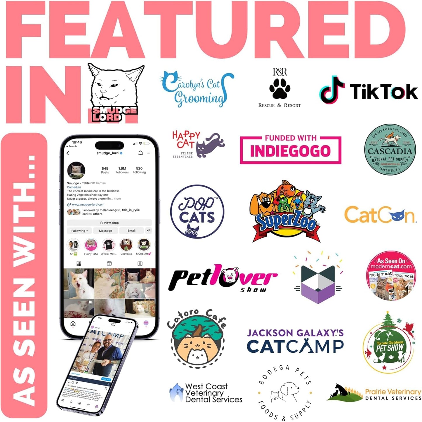 RYERCAT Dual Sided Cat Toothbrush - Kitten Toothbrush with Micro Head (Very Small) for Custom fit - Cat Dental Care Supplies - Pet Toothbrush for Cats (Smudgelord)