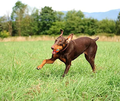 Chuckit! Ultra Ball Dog Toy with Chuckit! Cleaning Bucket, Bouncy Fetch Pet Toys For Dogs 20-60 lbs, Interactive Dog Toys, Durable Rubber, Size Medium, 2.5-inch Diameter, 8-Pack of Balls