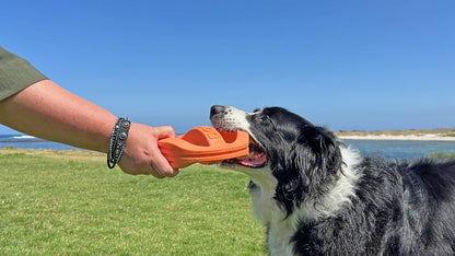 Van Ness Pets Doggi Catch and Carry Flying Disc Floating Dog Toy, Large, Orange (Pack of 2)