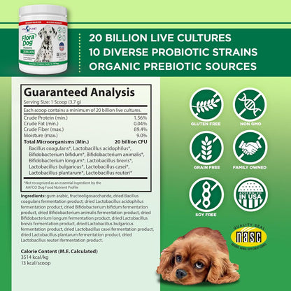 Vital Planet - Flora Dog Probiotic Powder Supplement with 20 Billion Cultures and 10 Strains, High Potency Immune and Digestive Support Probiotics for Dogs, 7.84 oz., 222 Grams, 60 Servings