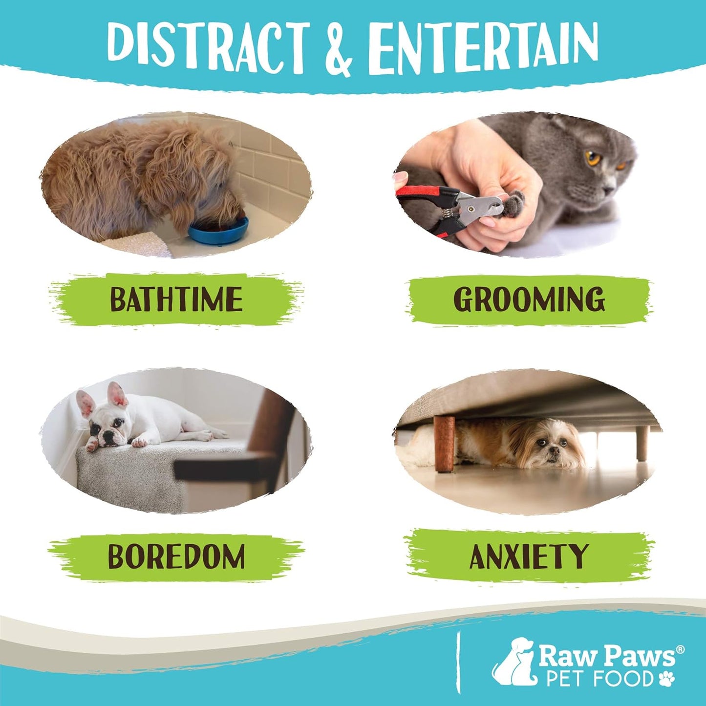 Raw Paws Licking Mat Bowl - Bathing, Shower & Grooming Distraction Mat for Dogs with Suction - Boredom & Anxiety Reducer - Great for Yogurt, or Peanut Butter - Fun Alternative Dog Slow Feeder Bowl