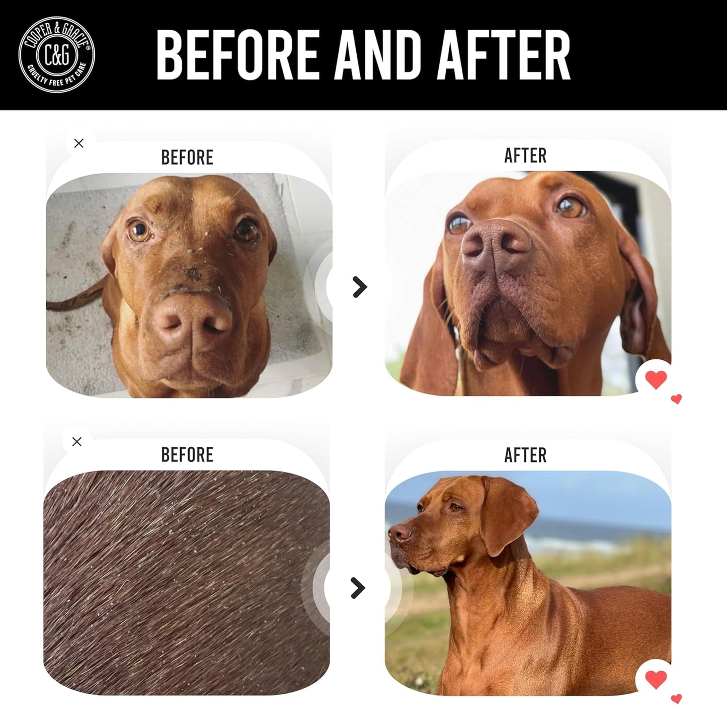 Itchy Dog Flea and Tick Shampoo 300ml – Plant-Based Gentle Dog Shampoo – Flea & Tick Care for Dogs – Cleanses & Freshens Coat – for Sensitive Skin – by C&G Pets